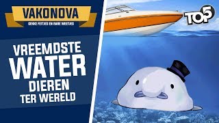 TOP 5 - VREEMDSTE WATERDIEREN! - Vakonova