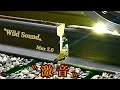 【Nゲージ】〓【HOゲージ】 〝激音〟 《Wild Sound》Max2.0