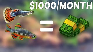 Breeding fish for PROFIT - Quick and Easy Guide