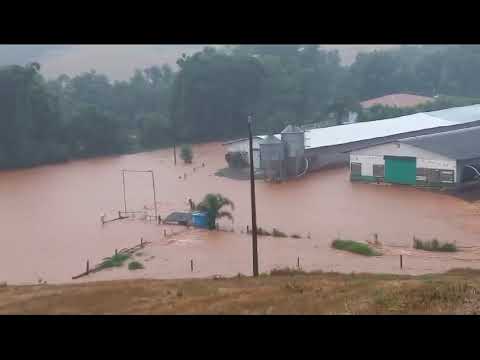 Rio Grande do Sul: Novo Hamburgo tem maior enchente desde 1965 | Jornal da Band