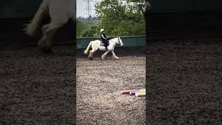 Mustachio￼#horse#equestrianjourney#blowup#fypシ゚viral#newpony