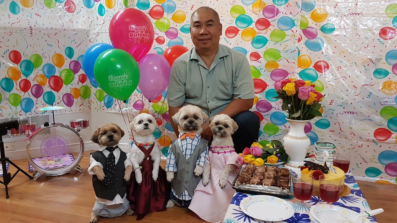 Sinh Nhật bé chó Cutie và Lucky các bé ăn mừng ca hát nhảy đầm/Happy Birthday of Cutie and Lucky