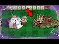 Horror Crazy Dave zombies vs Horrible zombies Plants 