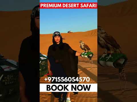 Premium Desert Safari with Quadbike or Dune Buggy Ride in Lehbab Red Dunes #shorts #viral #foryou