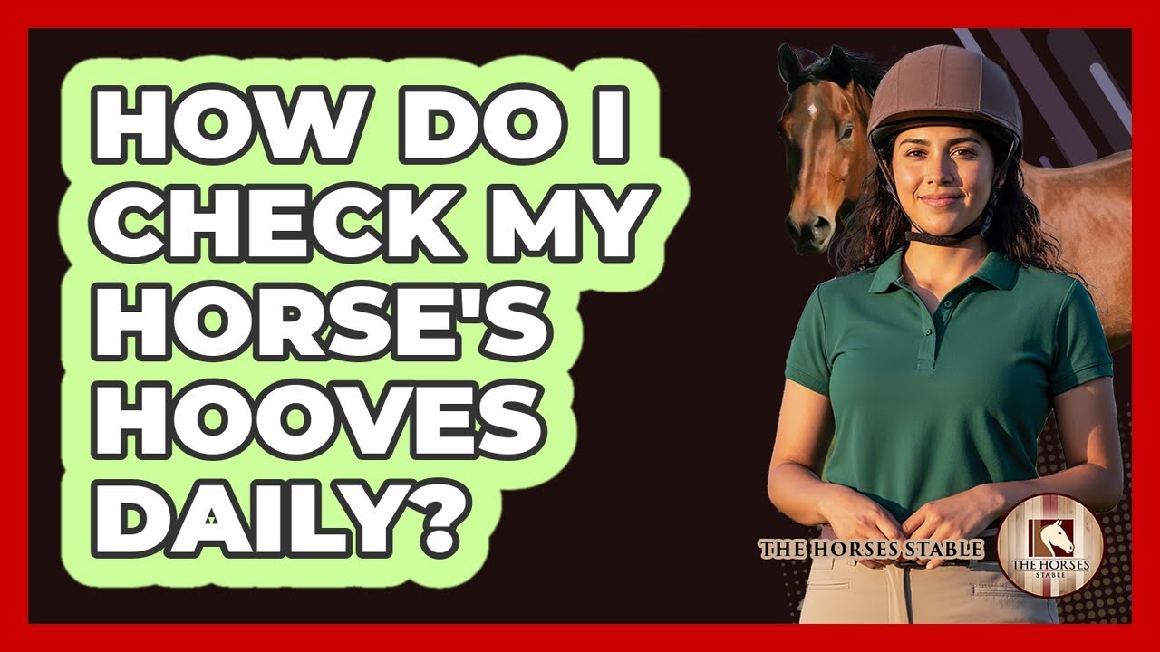 How Do I Check My Horse's Hooves Daily?