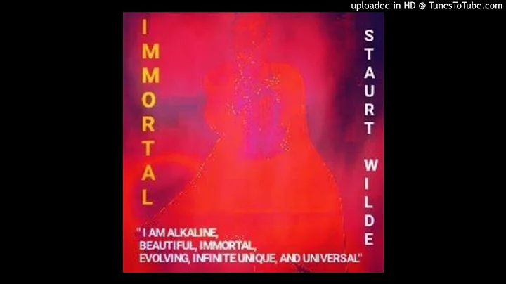Stuart Wilde - Joy Of Life (STUART WILDE IS ALIVE!)