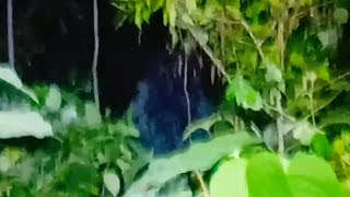 Penampakan Genderuwo Terjelas Saat live