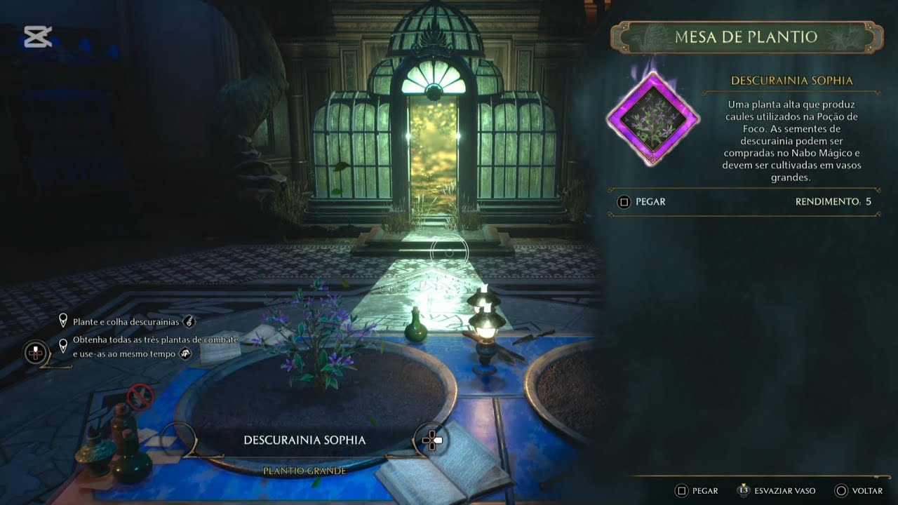 COMO PLANTAR DESCURAINIA - HOGWARTS LEGACY - YouTube