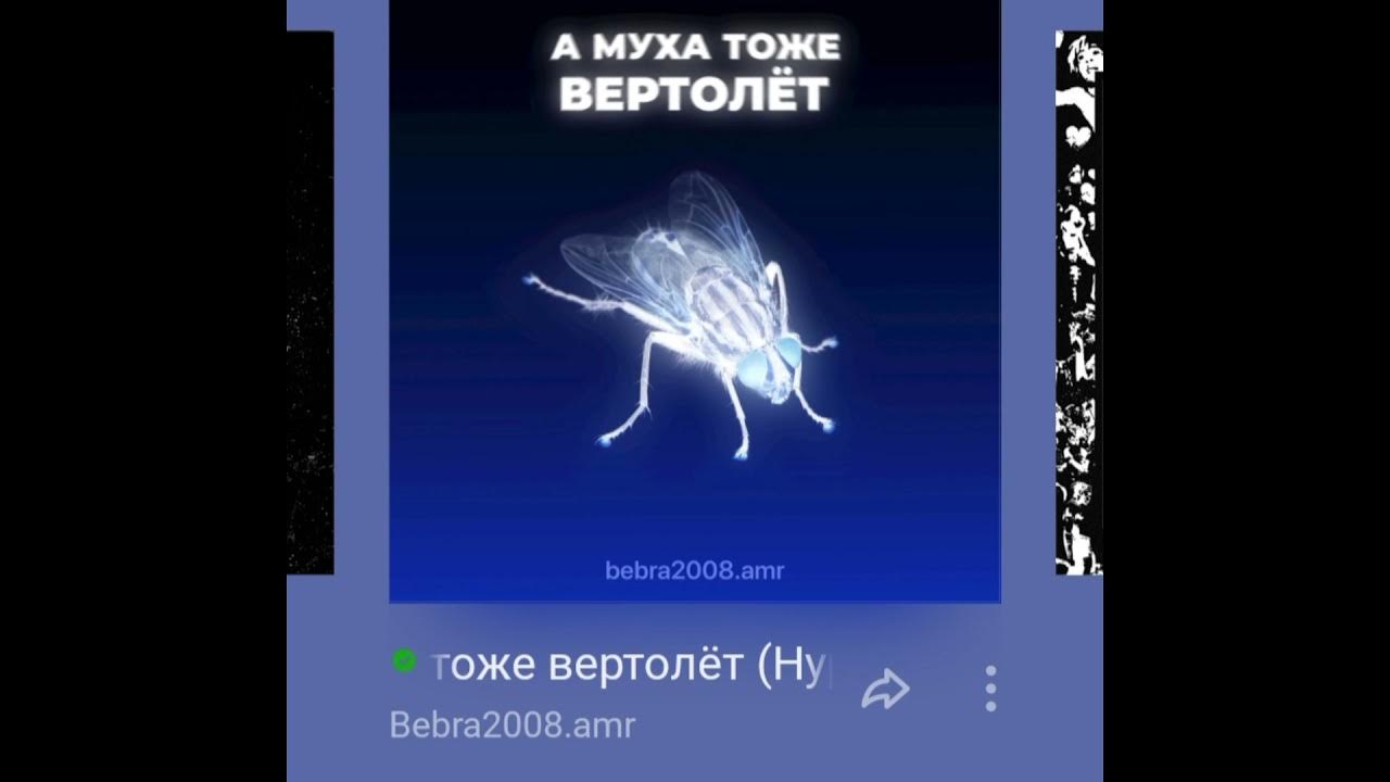 Музыка тоже вертолет