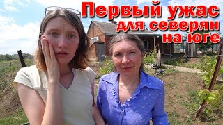 ОБЯЗАТЕЛЬНО сделайте ЭТО когда купите ДОМ НА ЮГЕ! Переезд на ПМЖ в Краснодарский край.