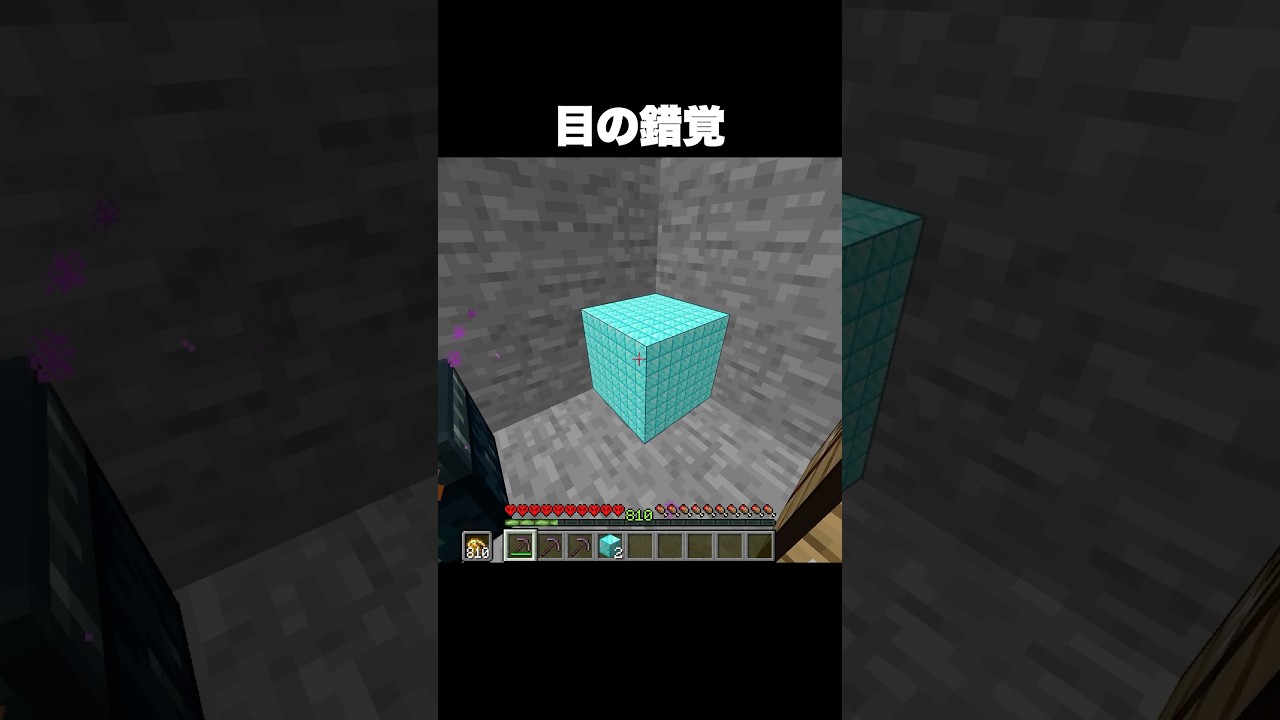 全員が騙される目の錯覚 #shorts #マインクラフト #マイクラ