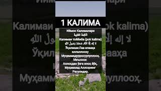 КАЛИМАИ ТОЙЙИБА ИЙМОН КАЛИМАЛАРИНИ БИРИНЧИСИ #дуолар #дуо