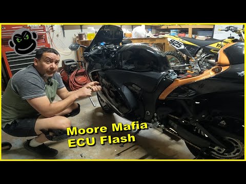 2022 Hayabusa | Moore Mafia ECU Flash