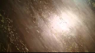 Pietra Spaccata Venatura Doro