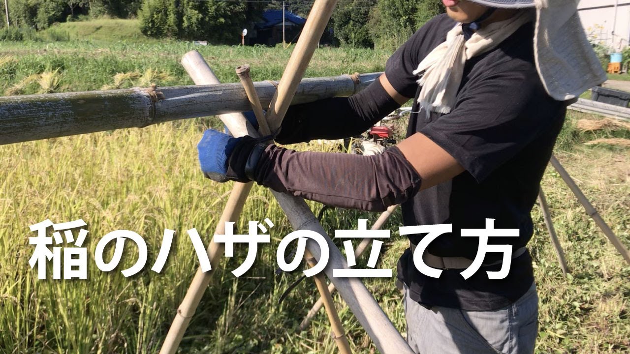 How to set up rice husks2022.09.25 - YouTube