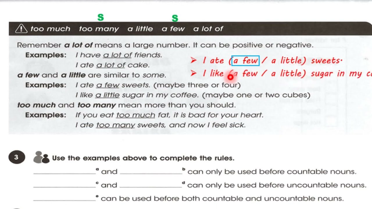 حل صفحة 24 و 25 نشاط انكليزي ثاني متوسط