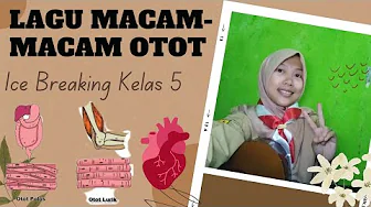 Lagu Macam-Macam Otot Pada Manusia Lagu Macam-Macam Otot Pada Manusia
