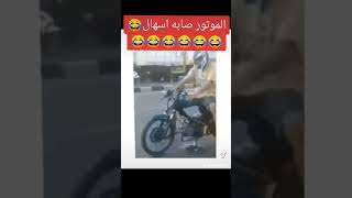 الموتور صابه اسهال شديد