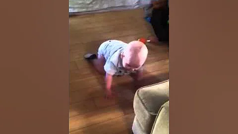 Quinn crawling