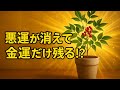 悪運が消えて金運だけ残る！？家に置くだけ最強プランツの正体