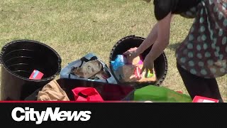 The Brentwood Little Food Library hosts food drive in Calgary