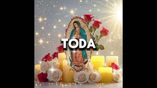 Ask for Health and Well-being with this Miraculous Prayer to the Virgin of Guadalupe screenshot 5