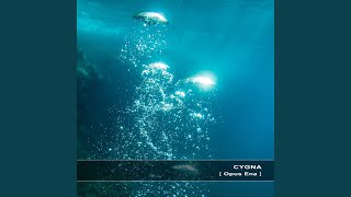 Wooden Little People