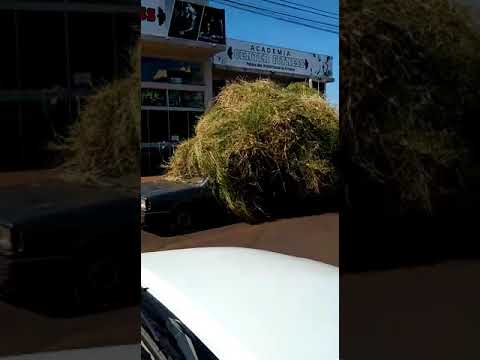 Carro coberto de grama é flagrado trafegando por Sarandi