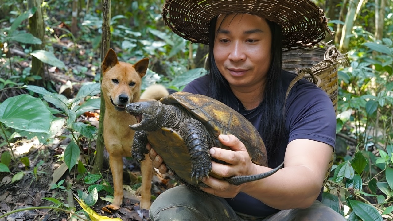 Encountering turtles while foraging in the forest - Harvesting bamboo shoots, weaving bamboo baskets