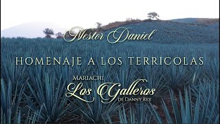 HOMENAJE A LOS TERRICOLAS || MARIACHI LOS GALLEROS DE DANNY REY