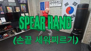 Spear Hand - 6th Gup Technique