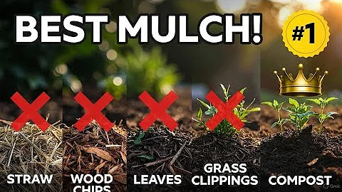 We Tried 5 Mulches — One Outperformed Them All