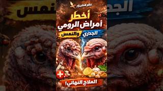 أخطر أمراض الرومي 😱 (الجدري والتنفسي) والعلاج النهائي!