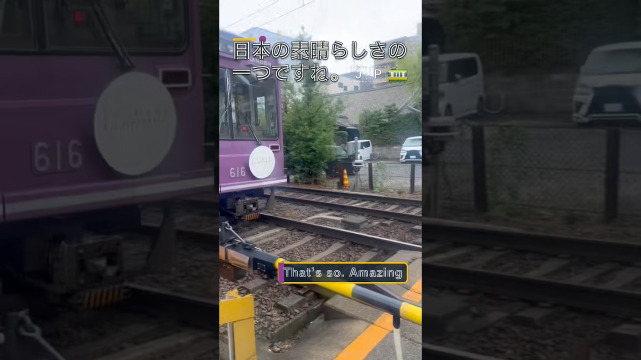 日本の田舎で発見！都会では見られない「ワンマン列車」🚃🇯🇵 #Japan