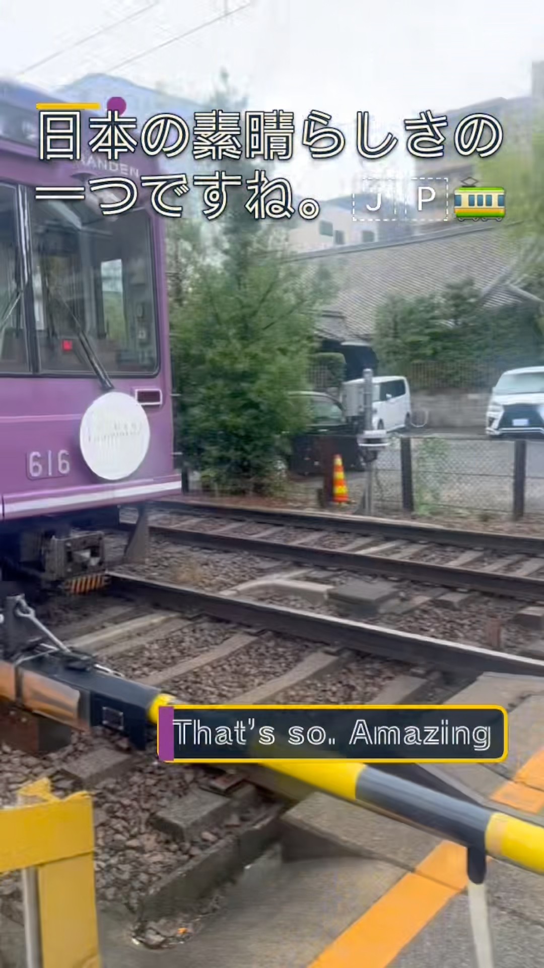 日本の田舎で発見！都会では見られない「ワンマン列車」🚃🇯🇵 #Japan