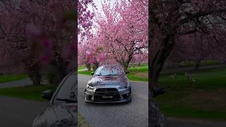 Evo