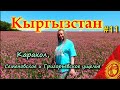 КЫРГЫЗСТАН 4К Каракол, Дунганская мечеть, Семеновское ущелье, Григорьевское ущелье #11