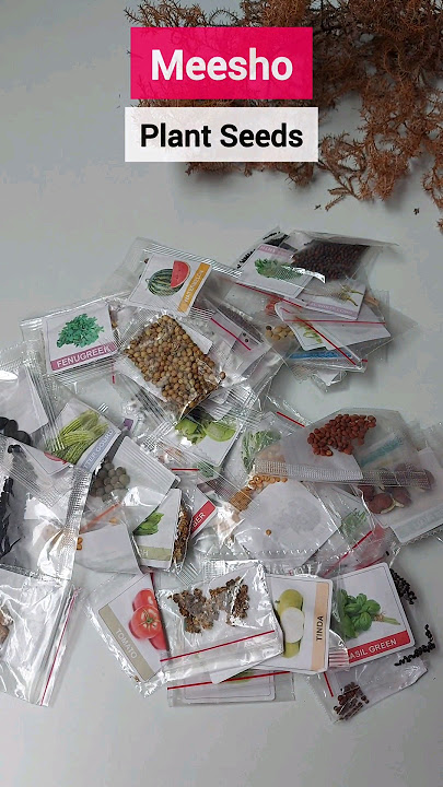 Meesho Plant Seeds under 100 😱 Plants and Vegetables Seed pack of 50 #meesho #meeshohaul