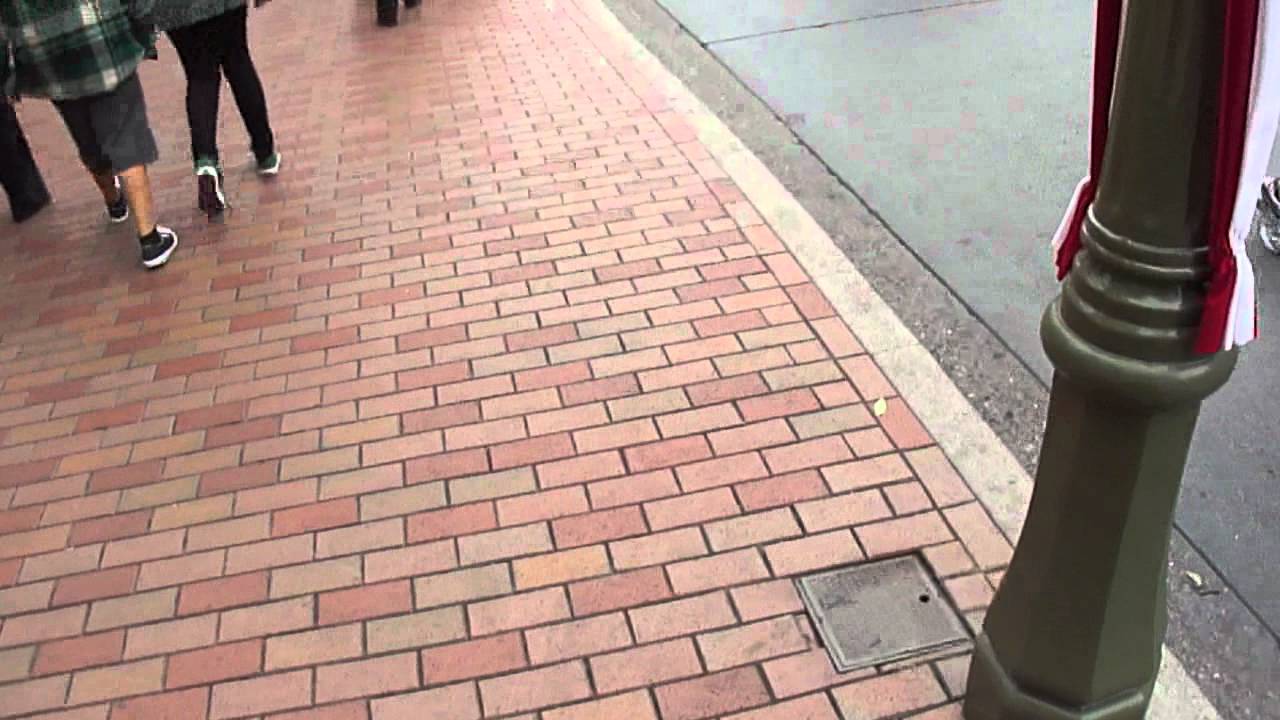 Disneyland Trash can Myth