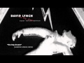 David Lynch - The Big Dream (Venetian Snares Remix)