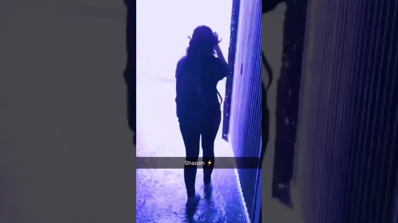 shazam⚡️ 