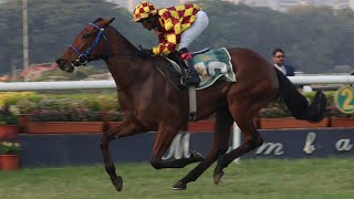 AMERICAL EAGLE wins The Synthesis Trophy Div-2