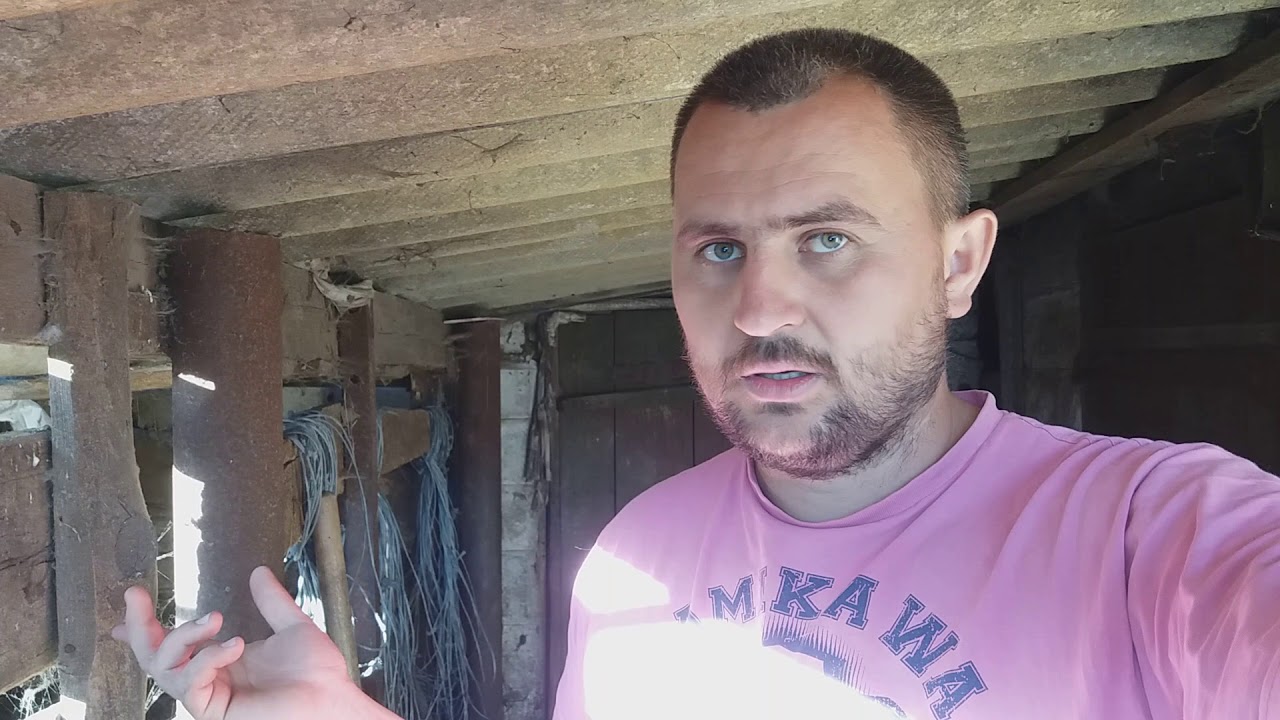Утка в автомобиль