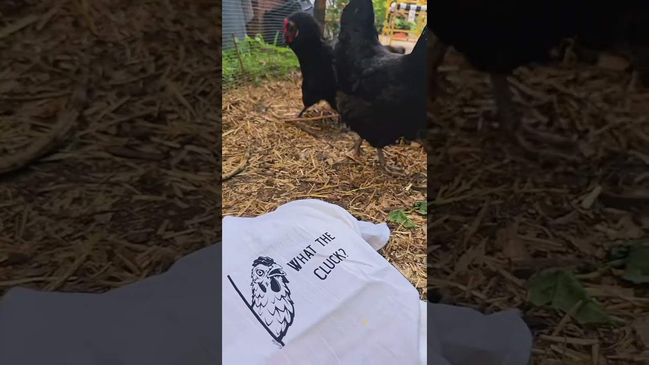 Love My What the Cluck Tea Towel! Versatile & Adorable Kitchen Essential