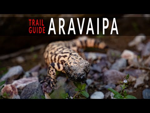 Video: So Planen Sie Eine Rucksackreise Zum Aravaipa Canyon In Arizona