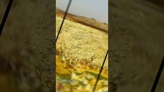 Dünyanın Çivisi Çıkmış