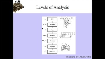 Computational Neuroscience - Lecture 0 - Introduction