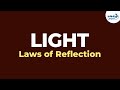 What are the Laws of Reflection of Light? | Physics | Don't Memorise