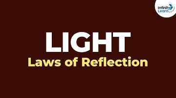 What are the Laws of Reflection of Light? | Physics | Don