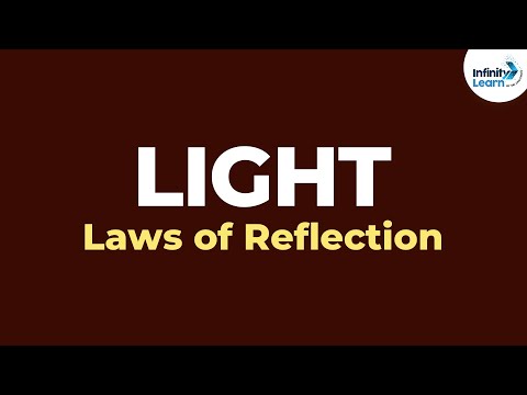 Video: Wat is wetsreflectie?